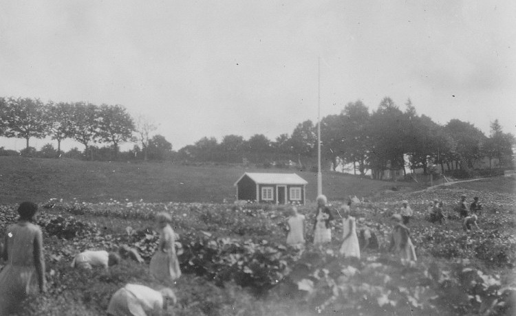 Barn i skolehage på 1930-tallet